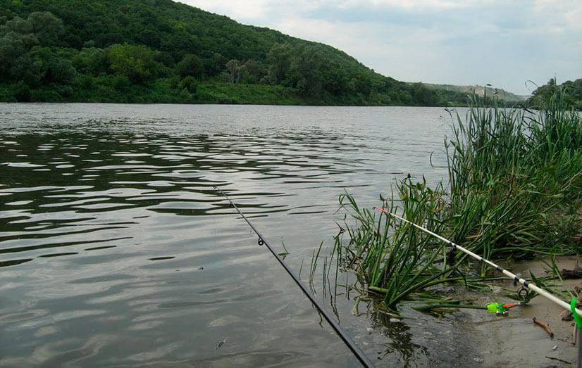 15 лучших рыболовных мест в тамбовской области. платные и бесплатные