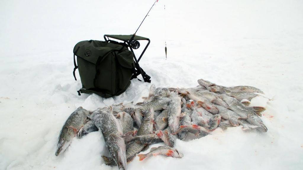 Платная рыбалка в ненецком автономном округе: рыболовные туры, охотничьи базы и водоемы ненецкого автономного округа