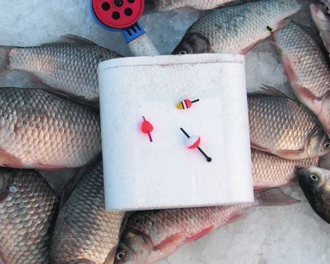 Как выбрать крючок для рыбалки – подробное руководство