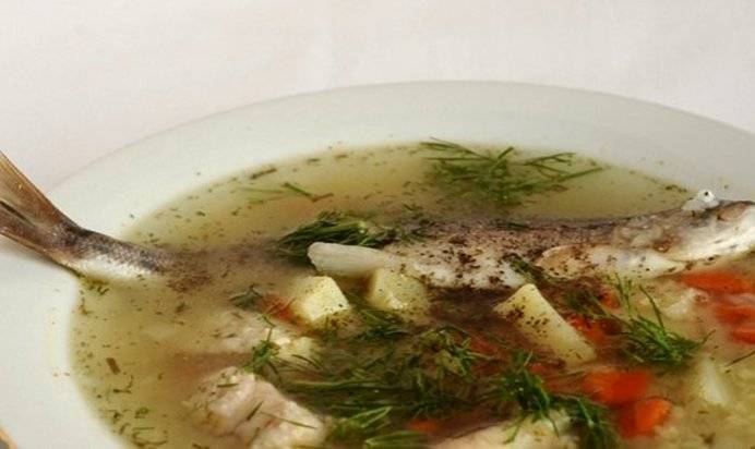 Суп из морского окуня рецепты