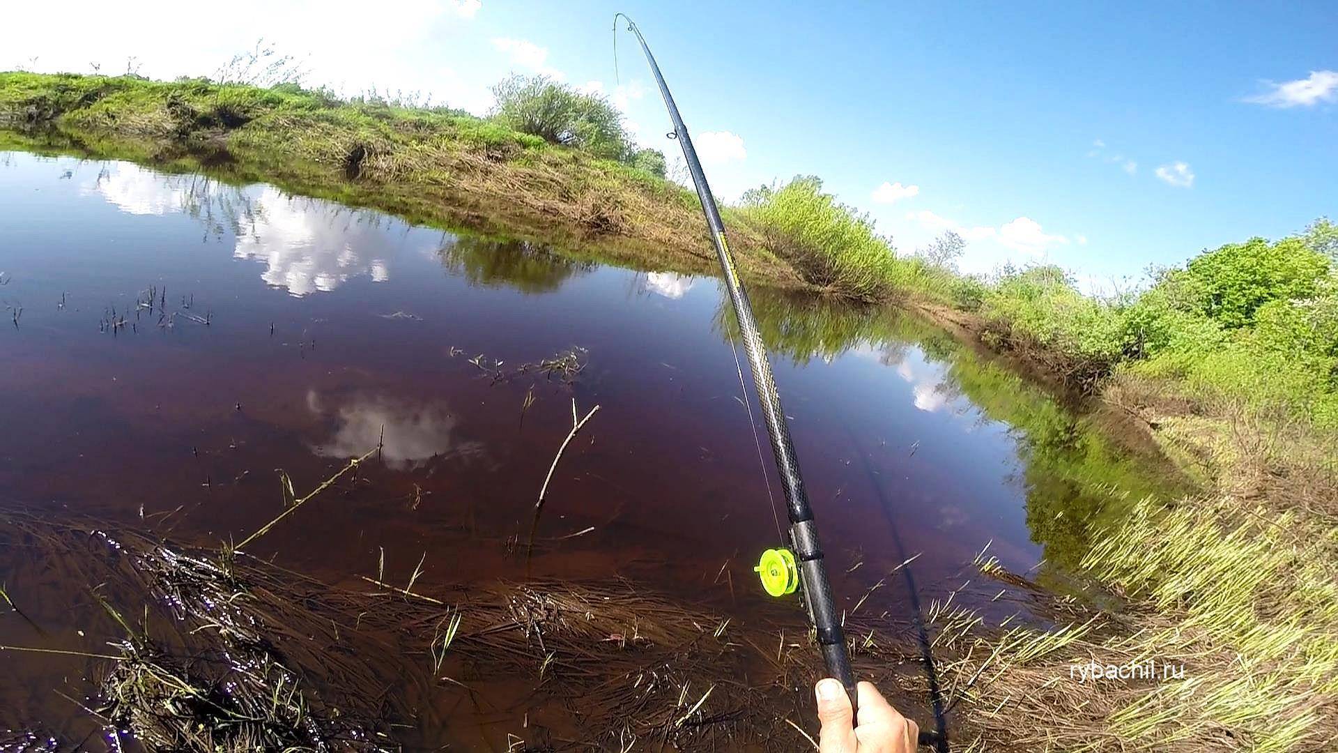 Рыбалка в Подольске и Подольском районе, как ловить на местных озерах и реках