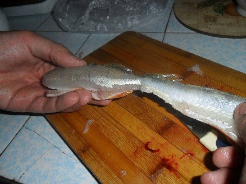 Простые советы о том, как чистить окуня от чешуи: рекомендации рыбаков и домохозяек