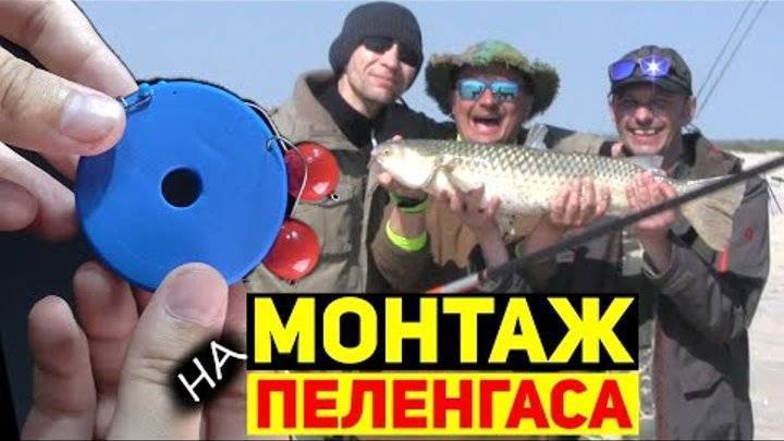 Ловля пеленгаса на азовском и чёрном морях - рыбколов!