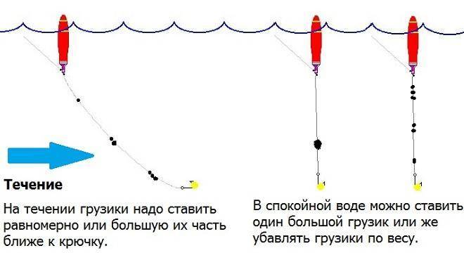 Как ловить форель на платных водоемах