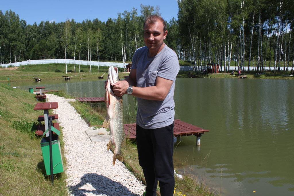 Платная рыбалка в калужской области - у нас клюёт!