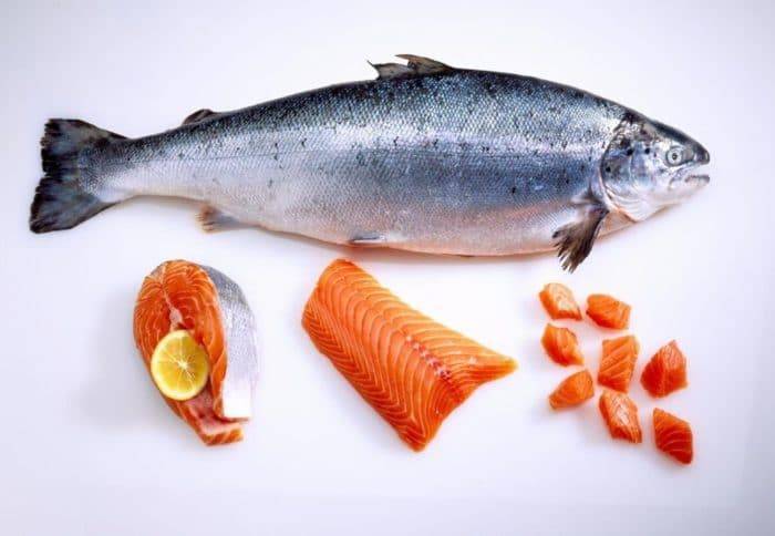 Какая рыба полезнее семга или форель | польза и вред