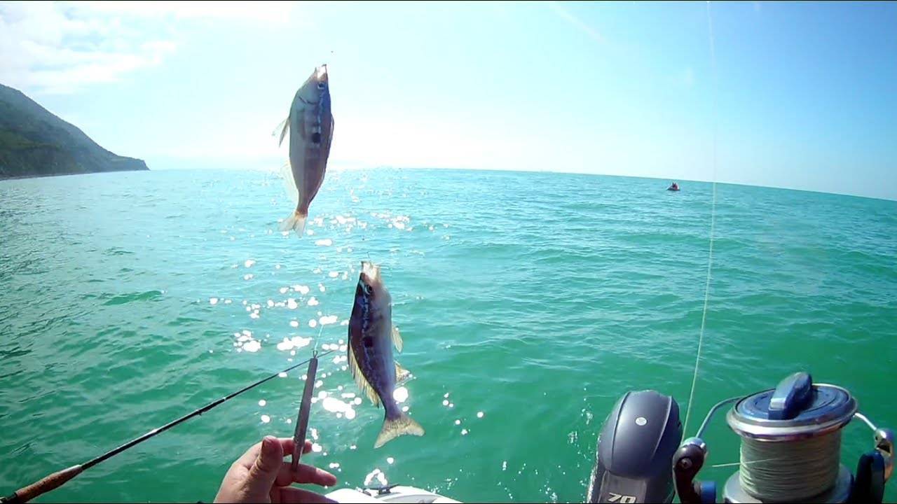 Рыбалка в Геленджике