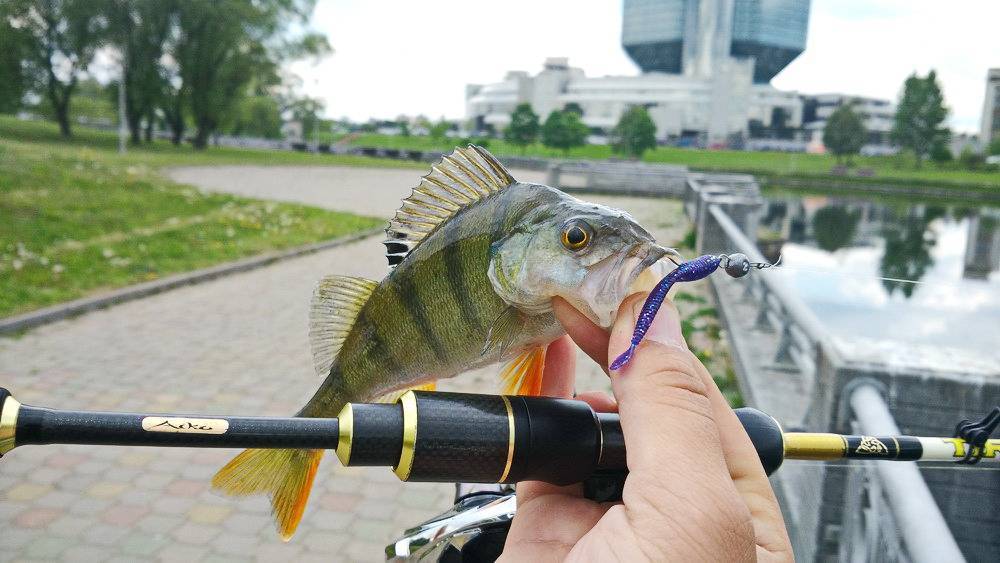 Современный спиннинг – экскурс в street fishing – рыбалка онлайн