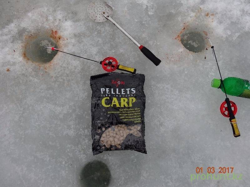 Вспоминая лето: фидерная рыбалка со льда
