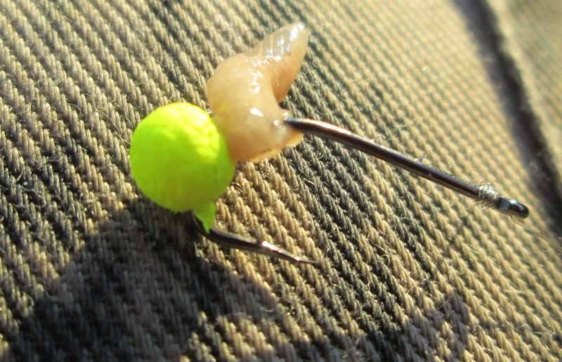 Как ловить карася на пенопластовые шарики