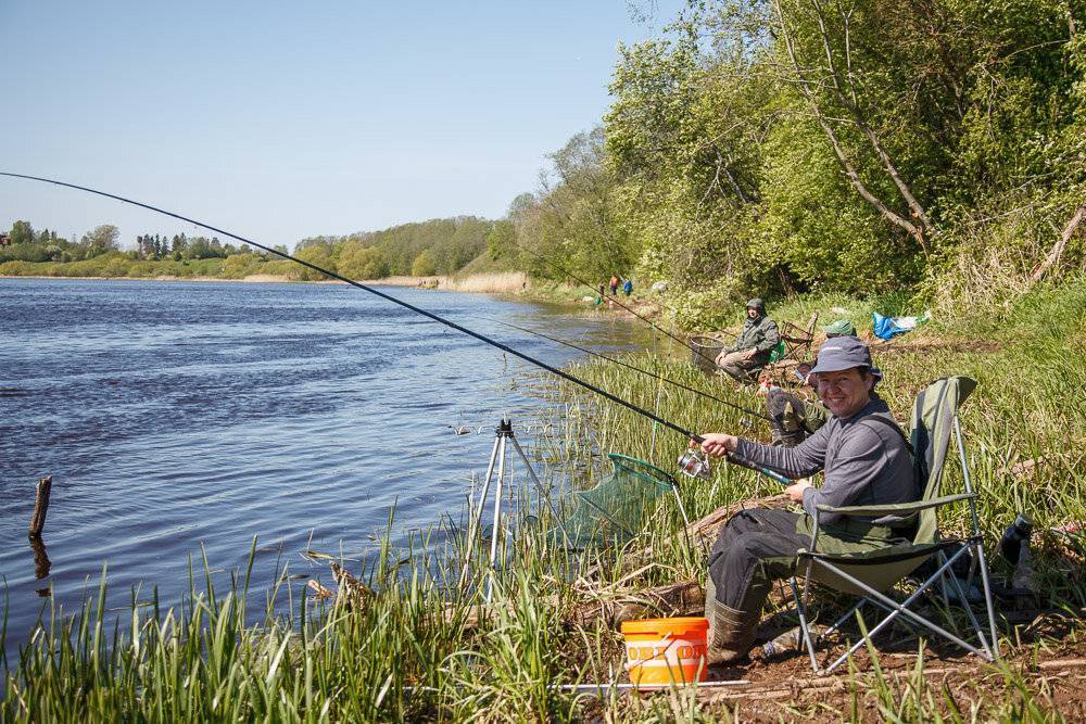 Места для рыбалки в ульяновской области – платная и бесплатная рыбалка!