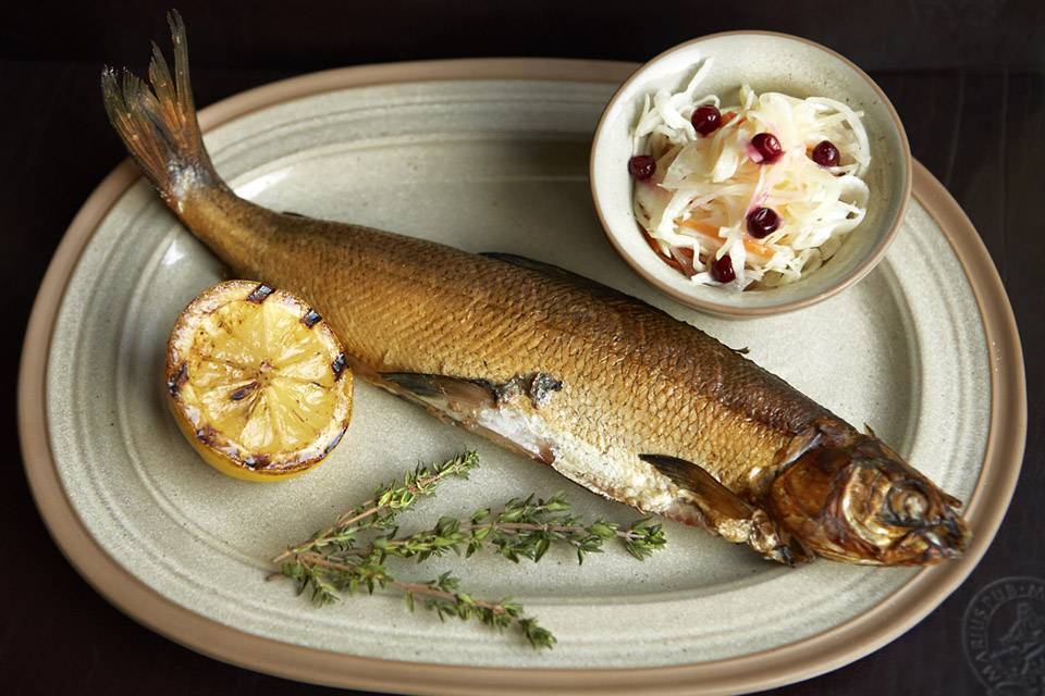 Рыба муксун: польза и свойства. как приготовить муксун и рецепты | знать про все