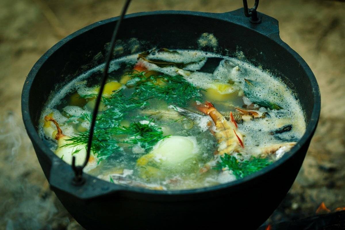 Как варить уху дома из речной рыбы?