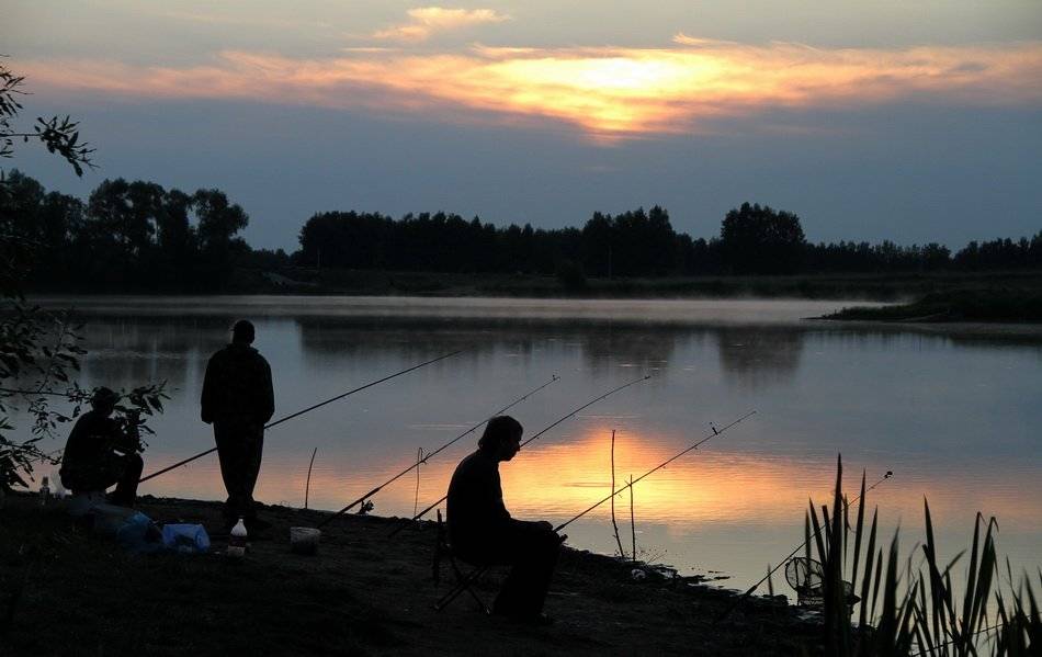Платная рыбалка в рязанской области - обзор водоемов, цены и услуги