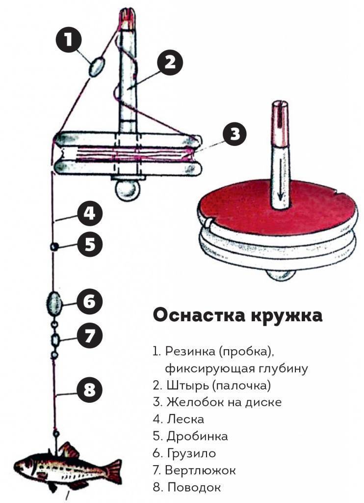 Щука на кружки: инструкция по сбору снасти и технике ловли