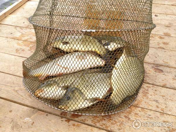 Платная рыбалка в самарской области: рыболовные туры, охотничьи базы и водоемы самары