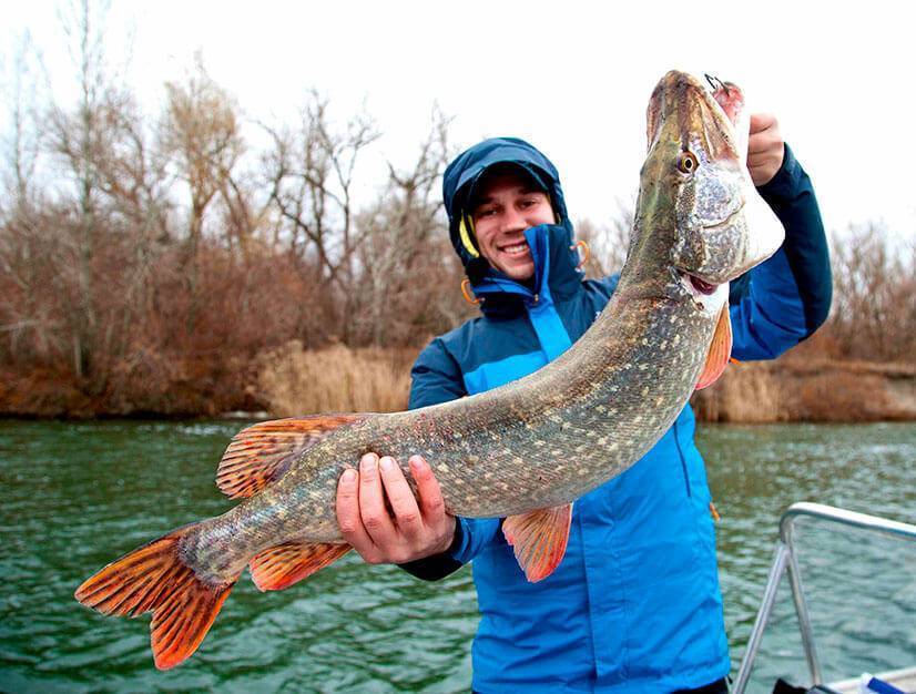 Рыбалка в ростове-на-дону и ростовской области