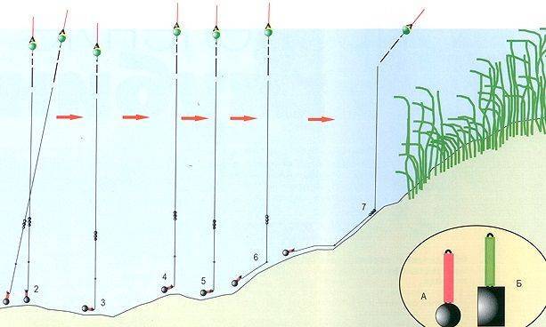 Смотрим под воду: правильное определение ям, глубин, мест обитания и кормления рыб