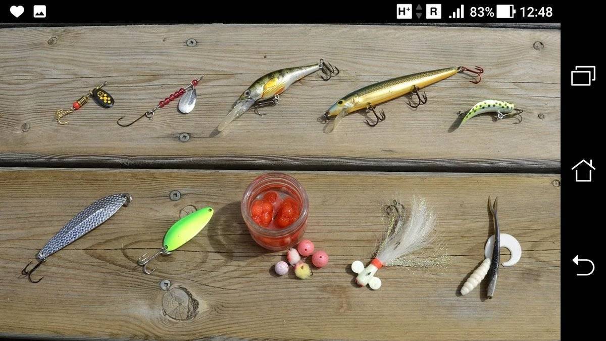 Способы ловли форели: разновидности снастей и приманок - читайте на сatcher.fish