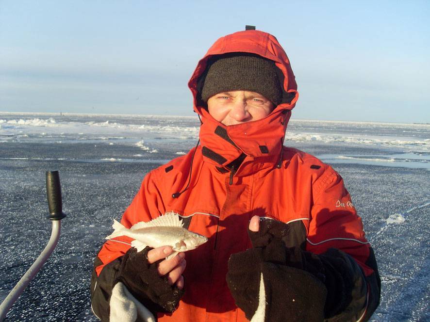 Корюшка санкт-петербурга — ловля корюшки на финском заливе