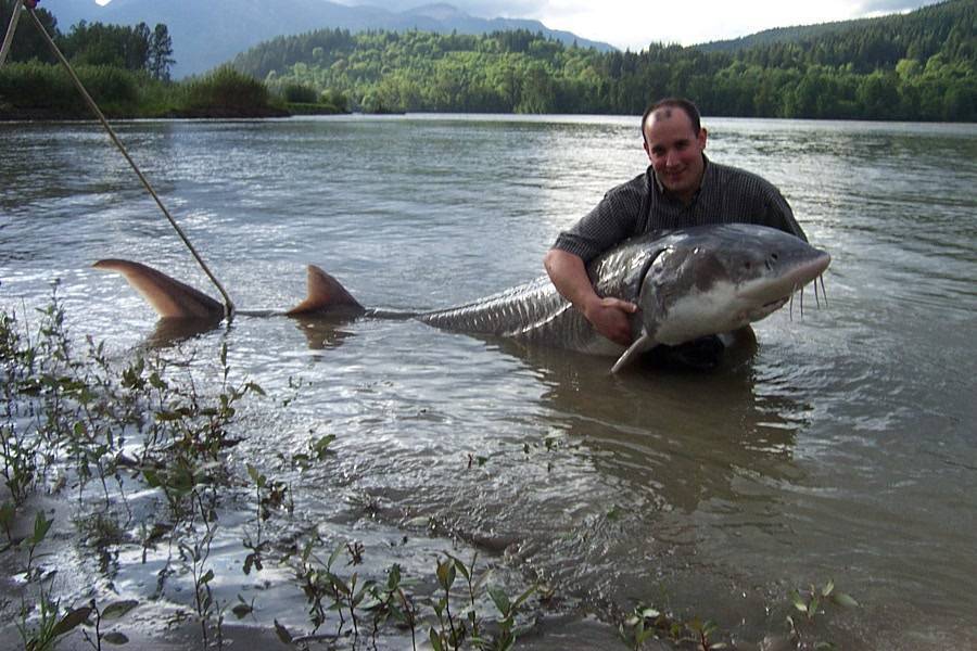 Рыбалка в балаково: прогноз клева и особенности рыбалки