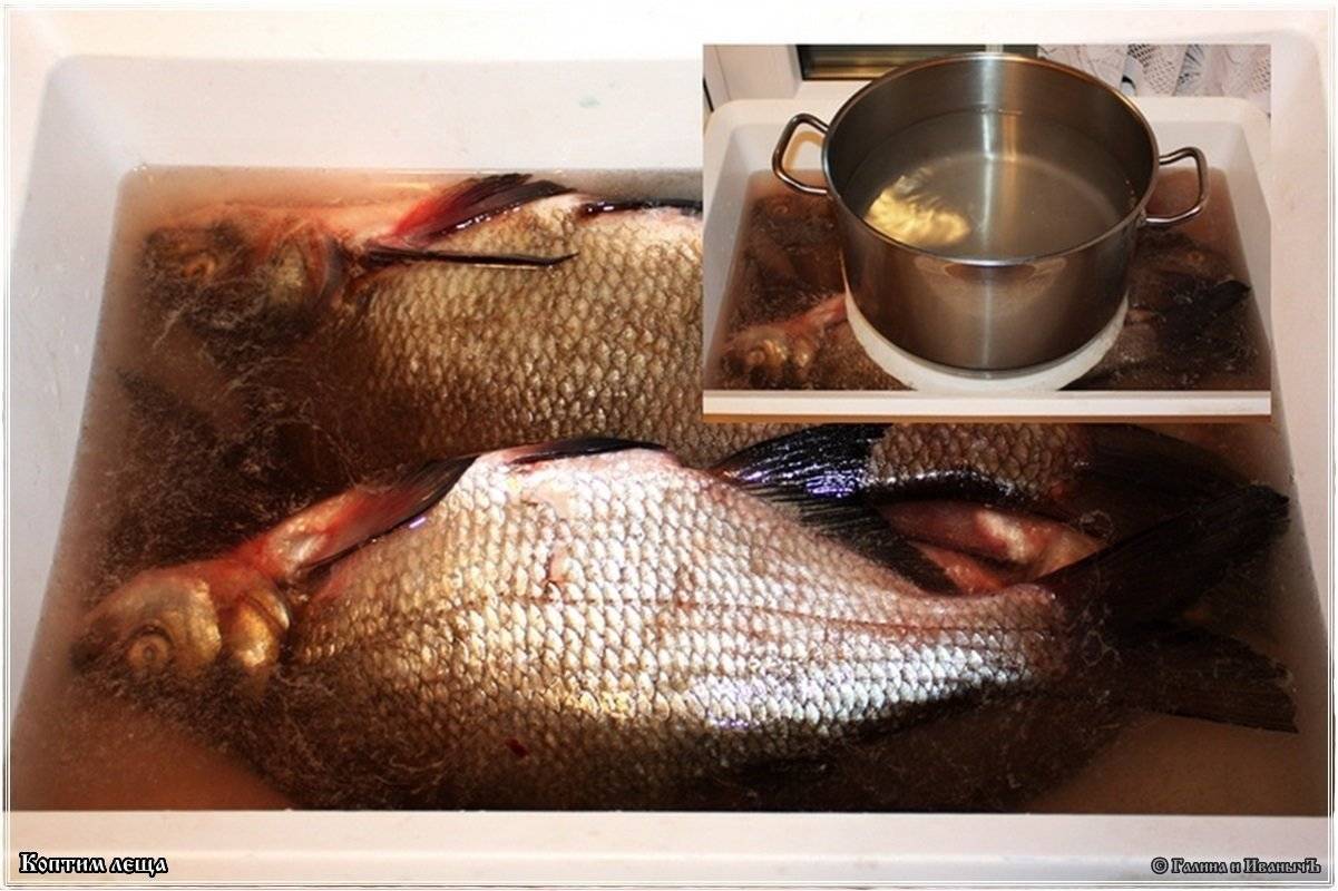 Засолка рыбы в домашних условиях. рецепты засолки красной рыбы, речной рыбы. способы засолки рыбы для сушки, вяления, копчения