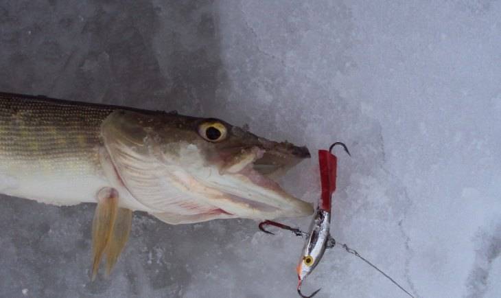 Балансиры для зимней рыбалки: рейтинг лучших, как сделать своими руками