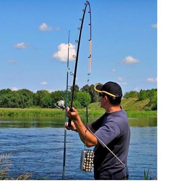 Основы ловли на фидер для начинающих и тактика рыбалки
основы ловли на фидер для начинающих и тактика рыбалки