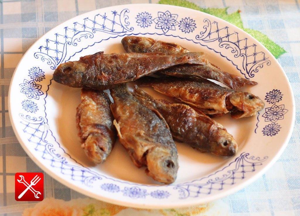 Жареный, вяленый, сушеный, вкусный в любом виде — карась: какова ценность речной рыбки, ее вкусовые качества и калорийность