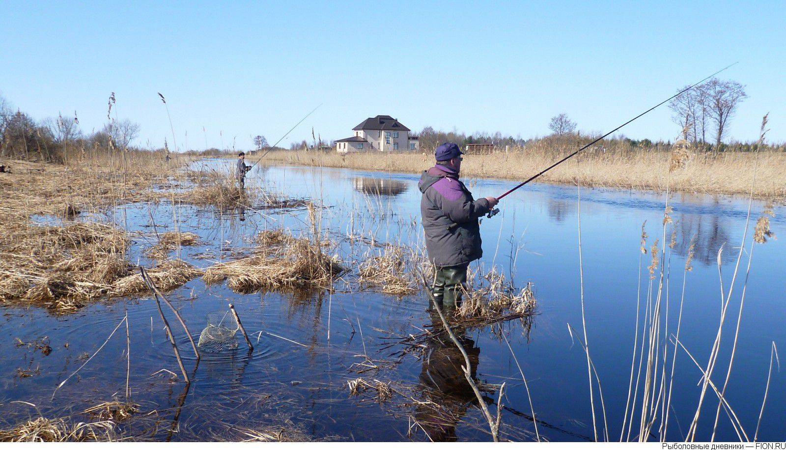 Рыбалка в феврале — ловля в астрахани, карелии, финляндии (снасти, приманки, тактика)