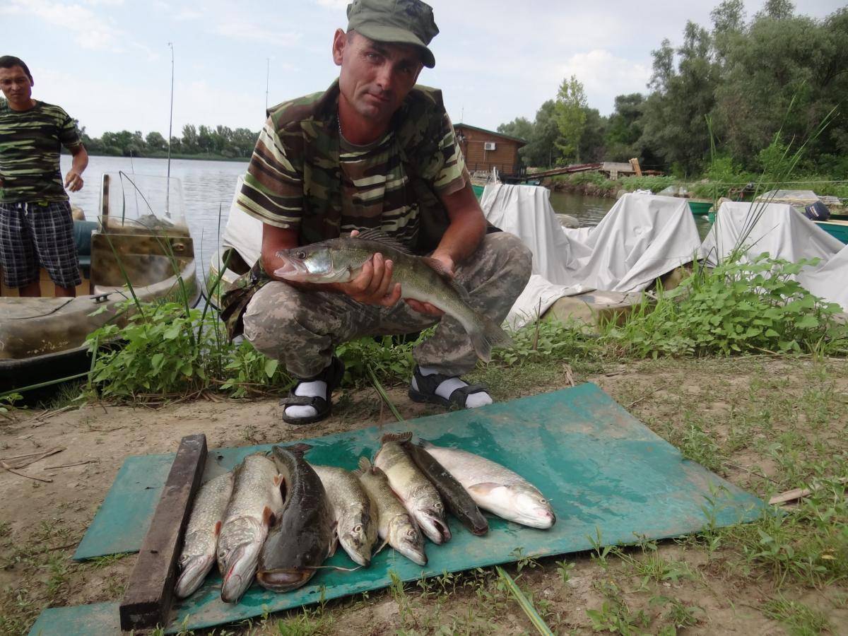 Подольское районное общество охотников и рыболовов, спортивная общественная организация