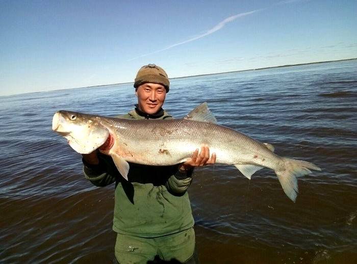 Рыбалка в новосибирской области: лучшие места на карте топ-10