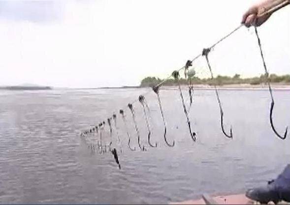 Наживки для рыбной ловли, виды наживок для успешной рыбалки
