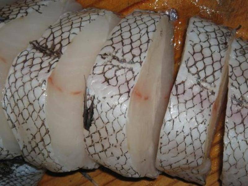 Рыба макрурус: польза и вред, калорийность, описание вида с фото