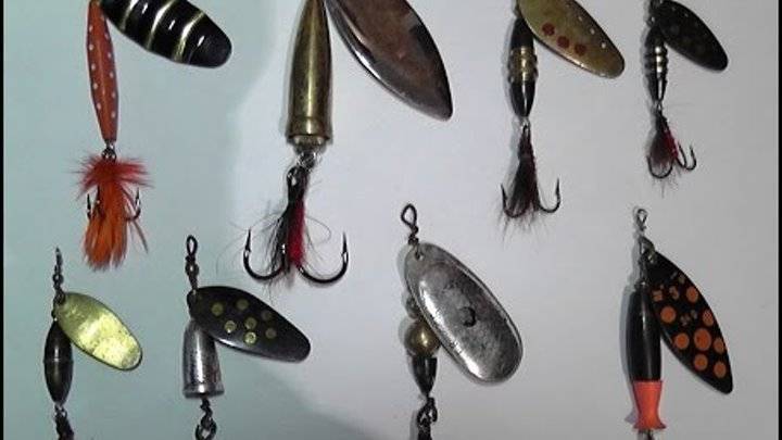 Ловля тайменя: на что клюет, как поймать на спиннинг, необходимые снасти для рыбалки