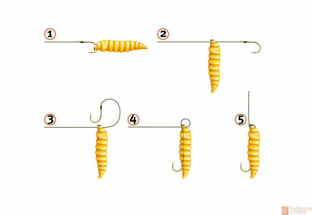 Как насадить кукурузу на крючок – основные нюансы