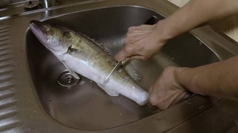 Как чистить рыбу? - serviceyard-уют вашего дома в ваших руках.