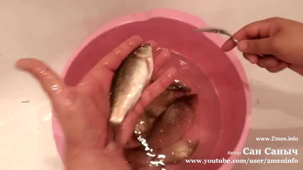 Как почистить живую рыбу карась