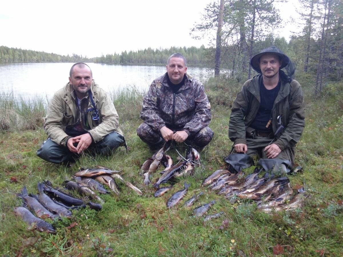 Лучшие места для рыбалки в ленинградской области и карелии