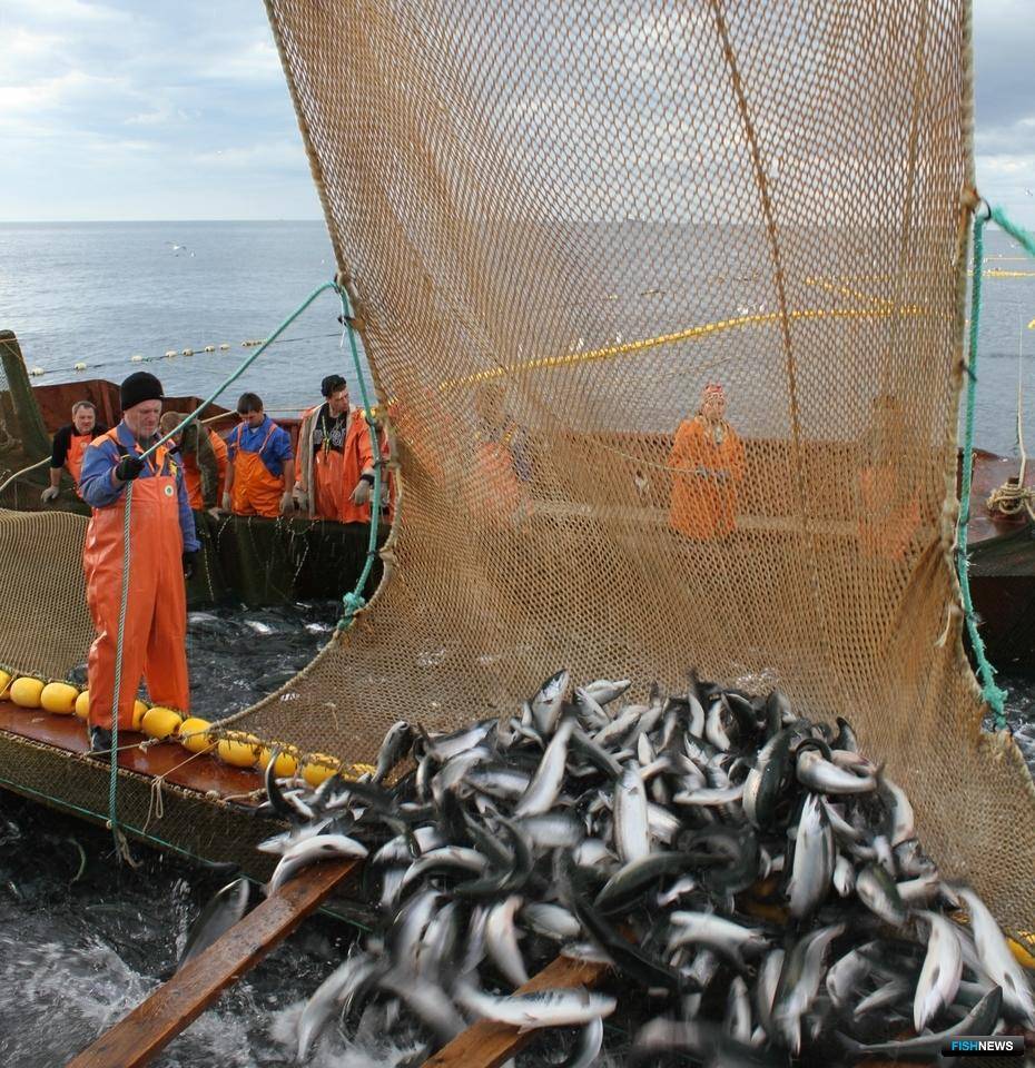 Штрафы и наказания за незаконную рыбалку в 2020 году