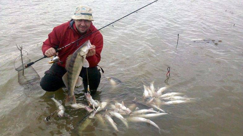 Рыбалка в ростове-на-дону — лучшие рыболовные базы в ростовской области, как ловить весной