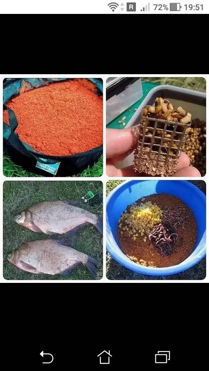 Как сварить горох для рыбалки и приготовить прикормку из гороха