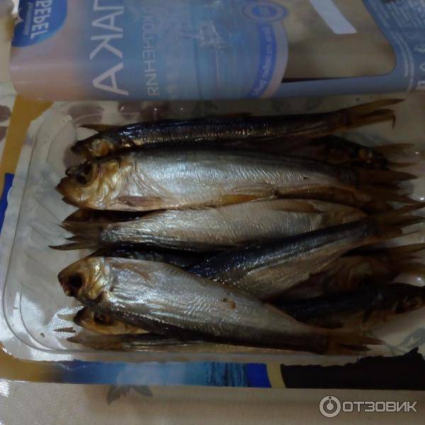 Рыба салака: польза и вред для организма, калорийность, рецепты приготовления в домашних условиях