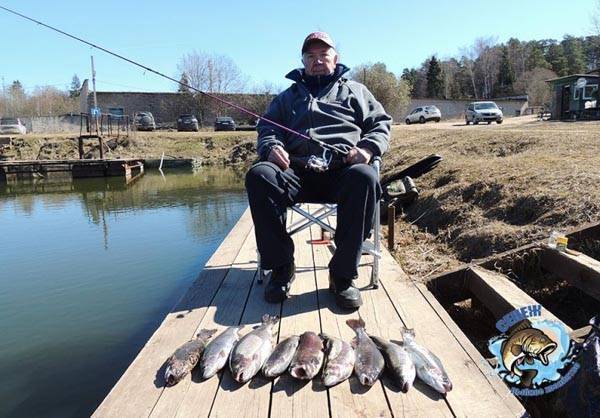 Платная рыбалка в южном федеральном округе россии, каталог платных водоемов