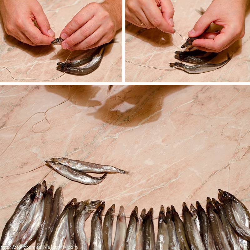 Как сушить рыбу в домашних условиях летом без мух – способы
