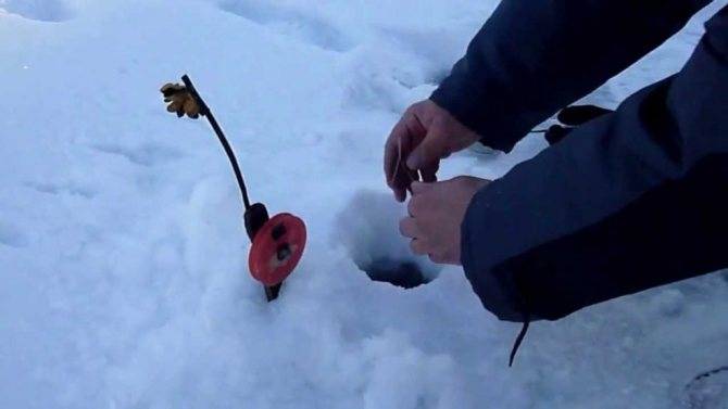 Ловля щуки на жерлицы зимой