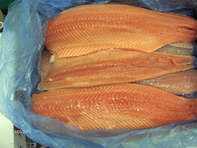 Рыба семга – где водится в россии salmo salar и форель, нерест, как ловить