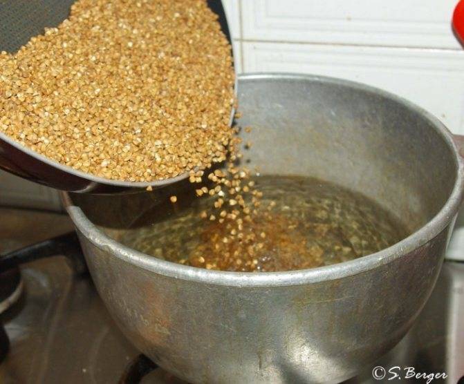 Как запарить пшеницу для рыбалки: в термосе, ловля на пшеницу