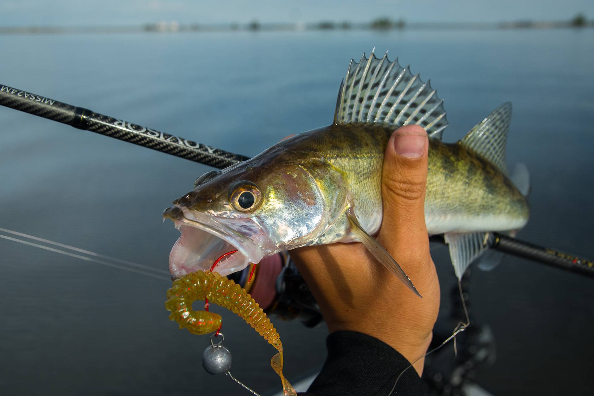 Как ловить судака: рыбалка различными методами