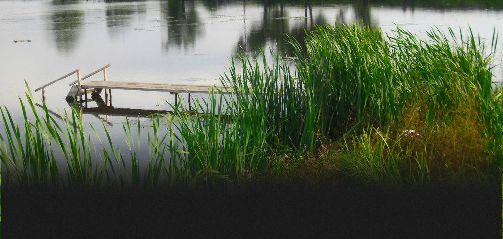 База отдыха «чижковское озеро» богородский район, в нижегородской области - цены 2021, фото, отзывы